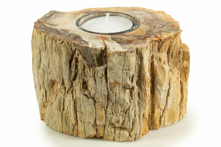 Polished Petrified Wood Candle Holder - Madagascar #338384